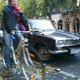 Illustration for article titled A Once-Common French Family Car Turned Fall Beauty